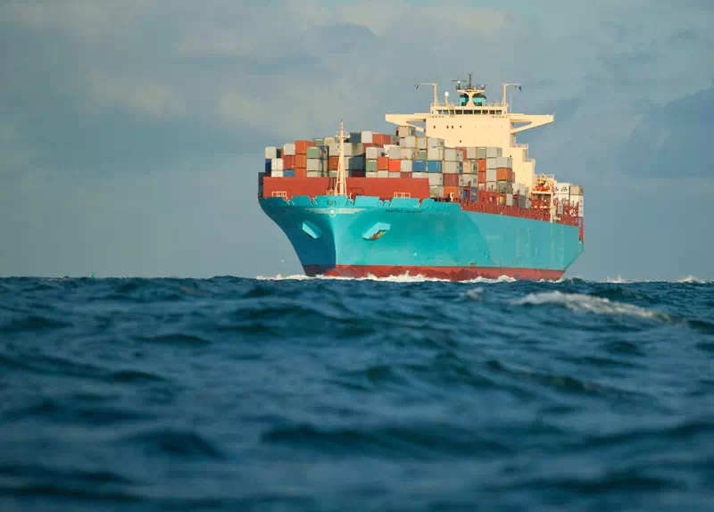 Container per il trasporto nazionale ed internazionale di merci non refrigerate via mare su navi cargo